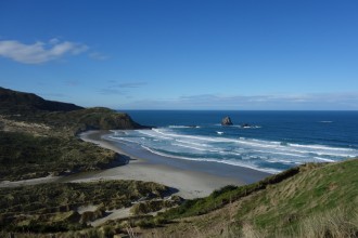 Péninsule d'Otago et lions de mer