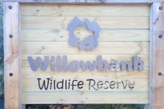 Le kiwi et autres animaux au Willowbank
